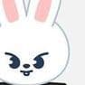 skz_enjoyer