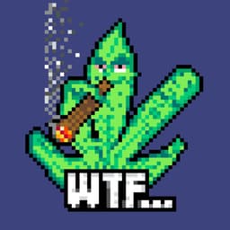 tomito420