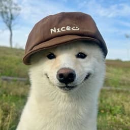WKIPO