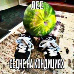 lizotenchik
