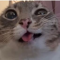 Nikitabsb