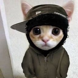Baguete_0fc