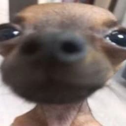 HEXON_4