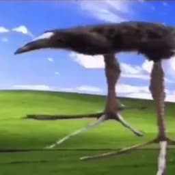 RudeKnife