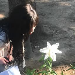 LaytikB