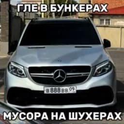 Timur981