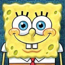 sponge_dode