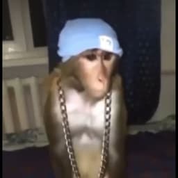 freeheroico