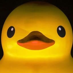 duckyTheGay