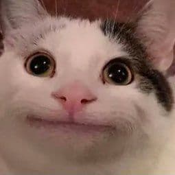 DaFattestCat