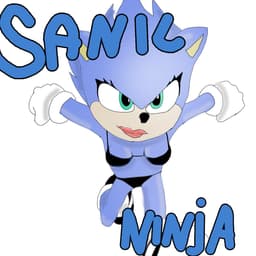 SanicNinja