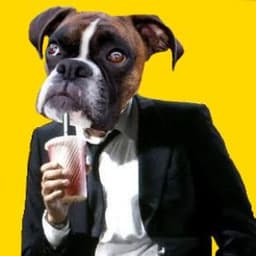 Mr_Blondog