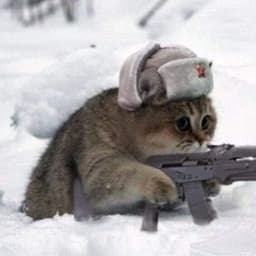deine_neko