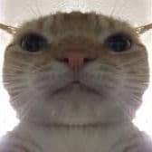 Winmef