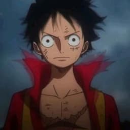 Luffy2025