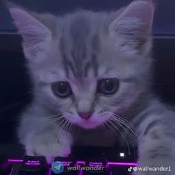 L4KSh3R1