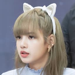 RabbitPL