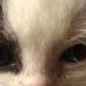 FrozZzor