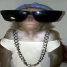 felixept