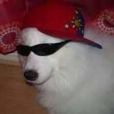 ZiggleZagg