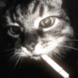 NoiZy6
