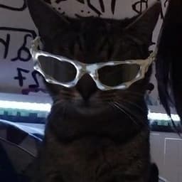 iceahk