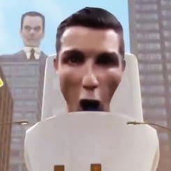 zzszef