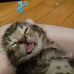 crazy_812