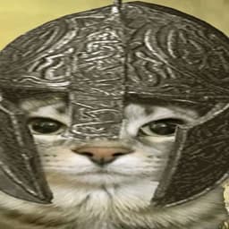 bitzdocy