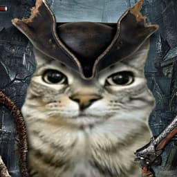 Peki-
