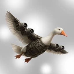 pipindush