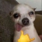 Shuvey