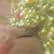 brom4aster