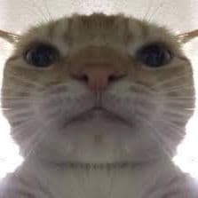 Haevnc