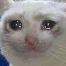 ex_friskies