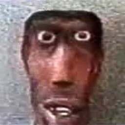 Duck_ER