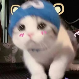 LiuRufeng