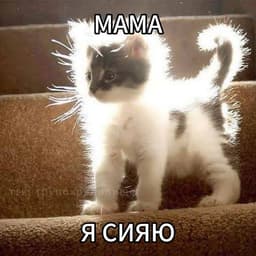 M0d1