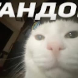 BebRO4KA0