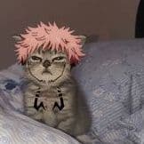 Xunode