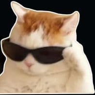 SummySosal