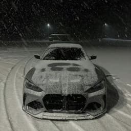 L1NEXQ1