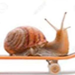 OkeeyLetsGo