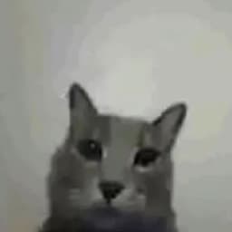 Dadavani