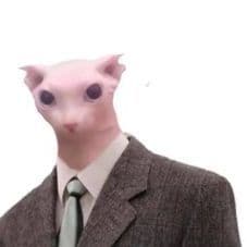 VedroDetei