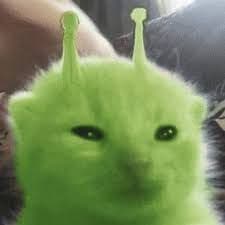Glorp-Cat