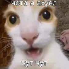 Nyaaco