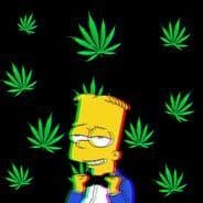 Bicodgin