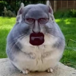 Visllo