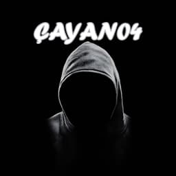 cayan04